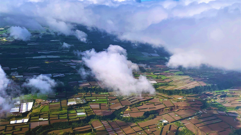 Fields ariel view