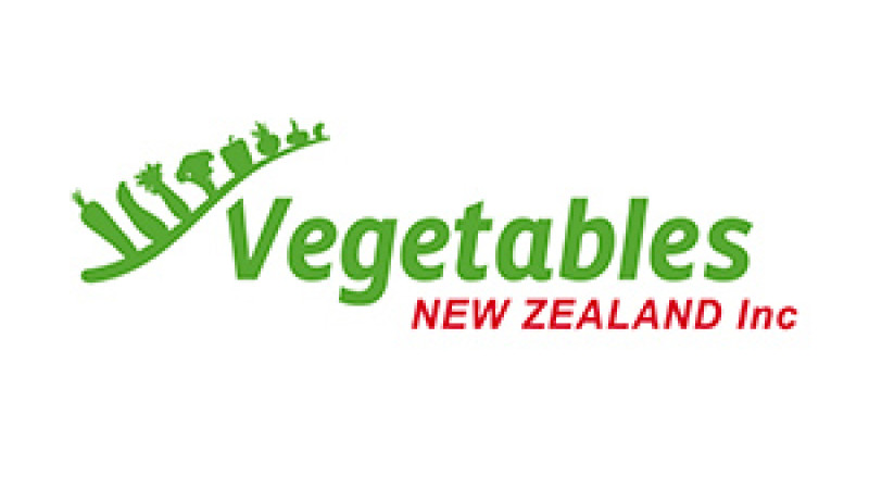 VNZI Logo